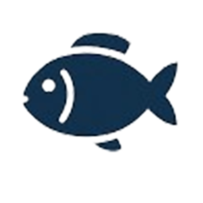 Il pesce fresco delle nostre coste